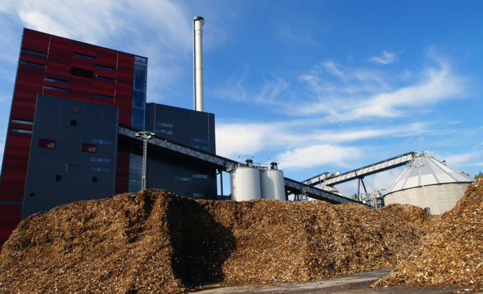 Austin biomass plant