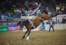 Rodeo retreats on promise to provide sex assault settlements, cop costs Houston livestock show and rodeo
