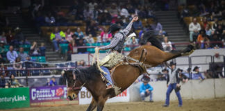 Houston livestock show and rodeo