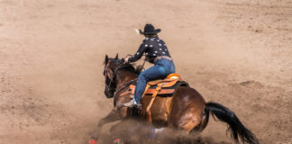 Houston Livestock Show and Rodeo