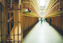 Federal judge dismisses claim against Harris County DA in wrongful conviction case